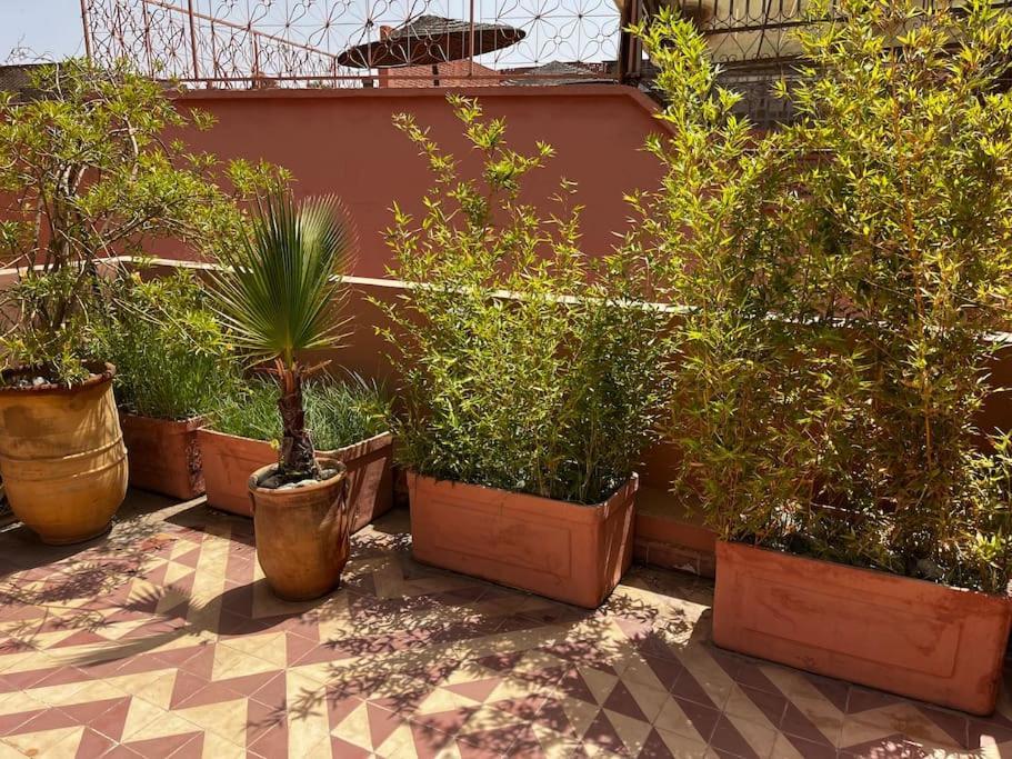 Riad Nadara, Superbe Riad Au Coeur De La Medina! Маракеш Екстериор снимка